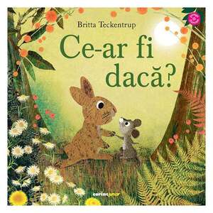 Imagine Ce-ar fi daca?