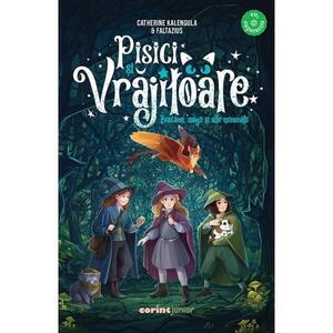 Imagine Pisici si vrajitoare, Boacane, magii si alte minunatii
