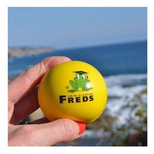 Imagine Minge moale Softball pentru copii 3 ani+ Freds Swim Academy diametru 6 cm