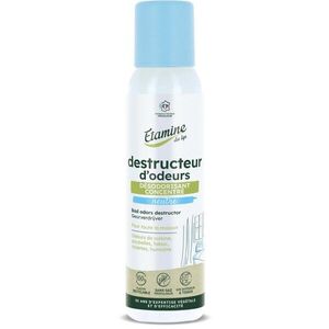 Imagine Deodorant neutralizator mirosuri neplacute Etamine parfum proaspat discret 125 ml