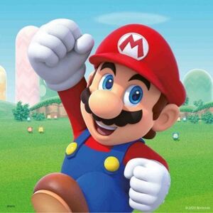 Imagine Puzzle Super Mario, 3X49 Piese
