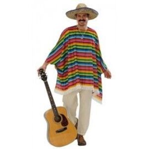 Imagine Poncho mexican