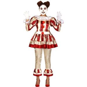 Imagine Costum arlechin killer