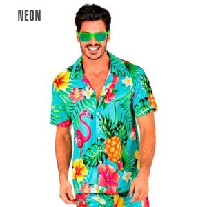 Imagine Camasa hawaii summer