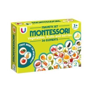 Imagine Set magnetic Montessori, Fructe si legume