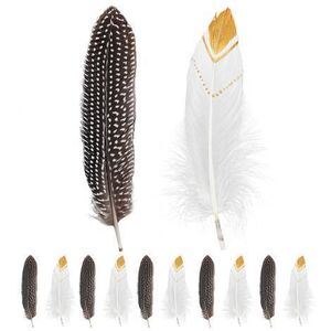 Imagine Pene indian 12 buc