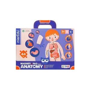 Imagine Joc magnetic STEAM: Anatomia umana