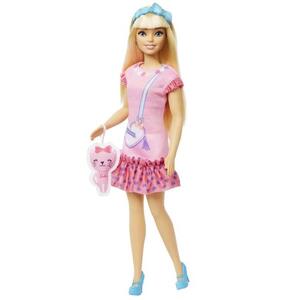 Imagine Papusa Barbie - Malibu cu accesorii