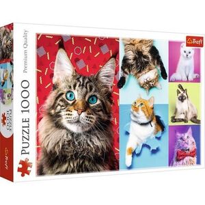 Imagine Puzzle Trefl Pisicute fericite, 1000 piese