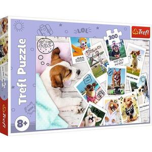 Imagine Puzzle Trefl Poze din vacanta, 300 piese