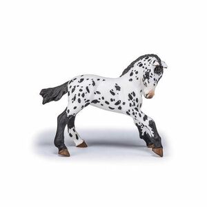 Imagine Figurina Papo - Cai si Ponei, Manz Appaloosa (Alb/Negru)