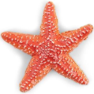 Imagine Figurina Papo - Universul acvatic, Stea de Mare