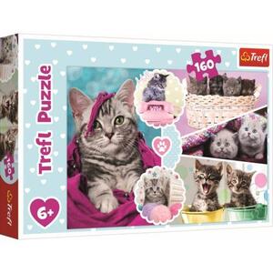Imagine Puzzle Trefl Pisici dragalase, 160 piese