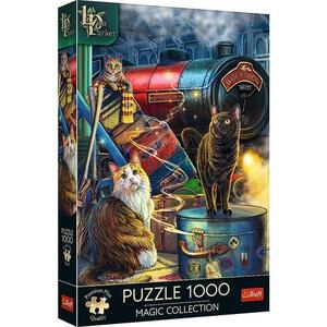Imagine Puzzle Trefl Premium Plus - Expresul Vrajitor, 1000 piese