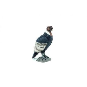 Imagine Figurina Papo Wild animal kingdom - Condor (Multicolor)