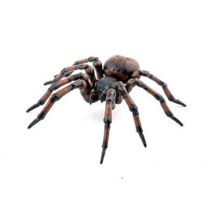 Imagine Figurina Papo Garden animals - Common spider