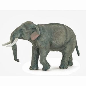 Imagine Figurina Papo Wild Animal Kingdom - Asian elephant (Gri)