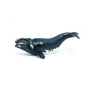 Imagine Figurina Papo Marine life - Right whale (Albastru)