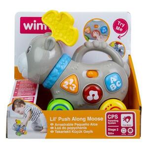 Imagine Jucarie de impins elan, Winfun, 0768
