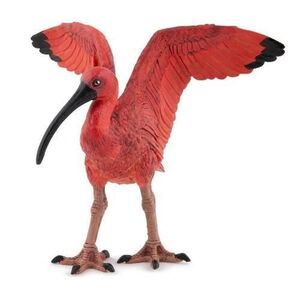 Imagine Figurina Papo - Animale salbatice, Ibis