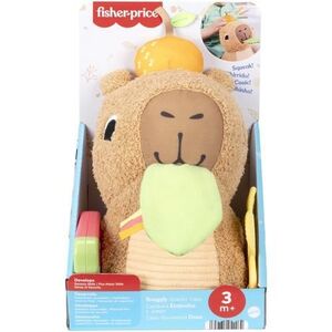 Imagine Jucarie Fisher Price - Capibara