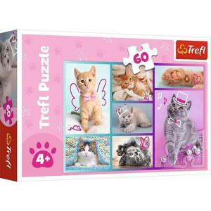 Imagine Puzzle 60 de piese - Pisici - Trefl