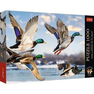 Imagine Puzzle Trefl Premium Plus Rate salbatice in zbor, 1000 de piese