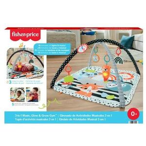 Imagine Salteluta De Activitati Fisher Price 3 In 1 Muzicala