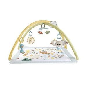 Imagine Salteluta de activitati Fisher Price - Simply Senses, arcada cu 6 jucarii senzoriale