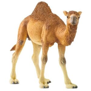 Imagine Figurina Schleich, Dromader
