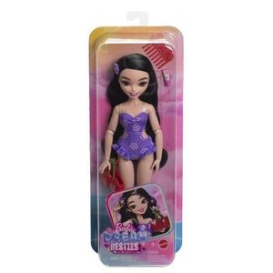 Imagine Papusa Barbie Renee la plaja, cu accesorii
